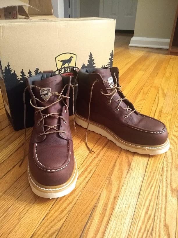 Irish Setter Ashby 6