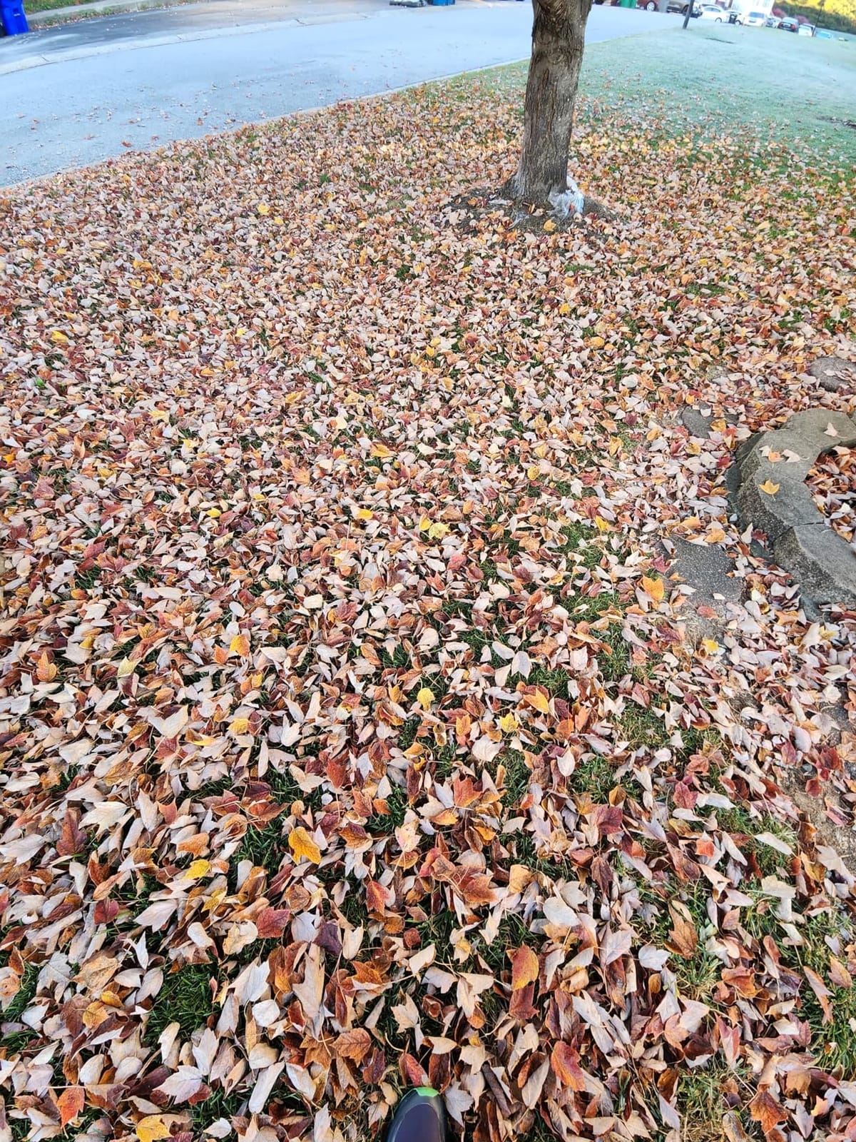 BLACK+DECKER Corded Leaf Blower Leaf Vacuum and Leaf Mulcher 3-in-1, Up to 230 MPH, 12 Amp Handheld Blower and Vacuum Combo (BV3600) customer photo 2