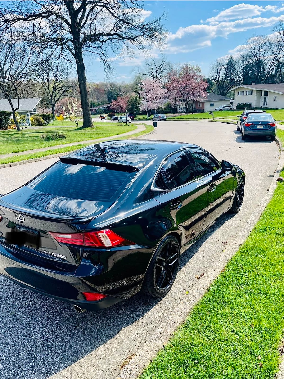 Turtle Wax T-11 Black Spray Wax - 16 oz. customer photo 1