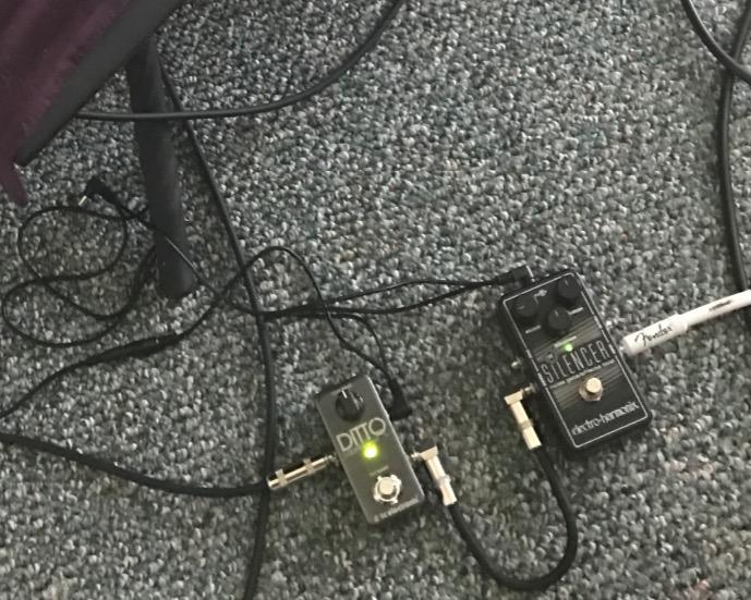 TC Electronic DITTO LOOPER Highly Intuitive Looper Pedal with 5 Minutes of Looping Time, Analog-Dry-Through and True Bypass customer photo 2