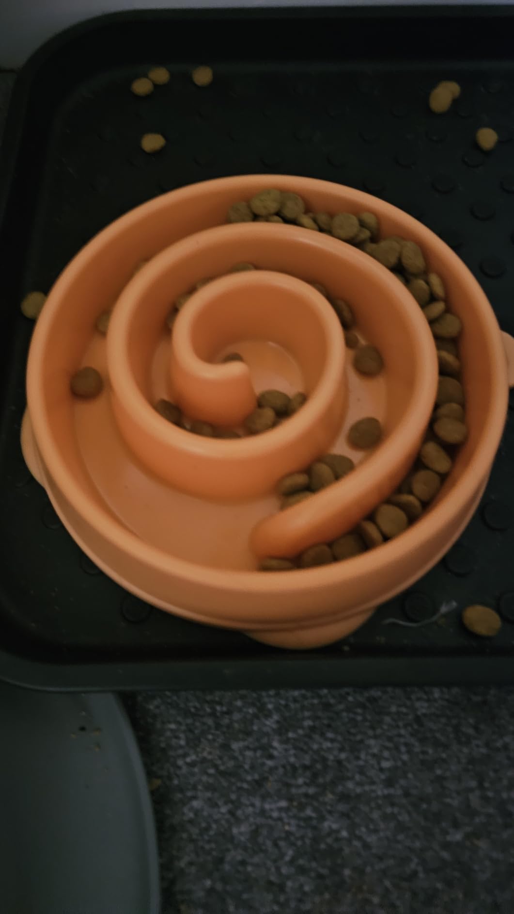 Outward Hound Fun Feeder Slo Bowl - Large 4-Cup Capacity, Slow Feeding, Medium to Large Dogs, Non-Slip, Turquoise, Drop Pattern customer photo 2
