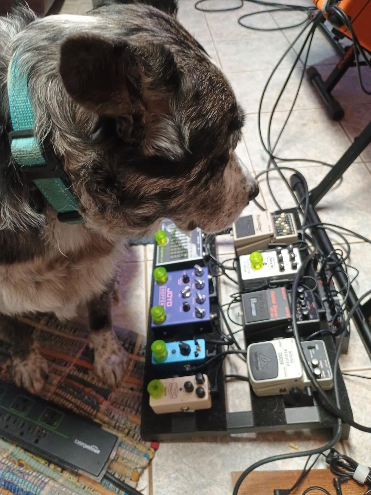 Donner Overdrive Guitar Pedal, Blues Drive Vintage Overdrive Effect Warm/Hot Modes for Pedal Boards Electric Guitar, True Bypass customer photo 2