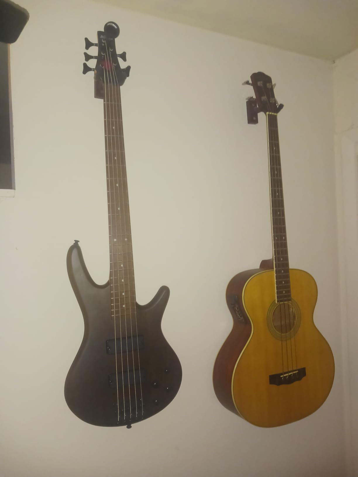 Ibanez GSR205BWNF GIO 5-String Bass Guitar - Walnut Flat customer photo 1