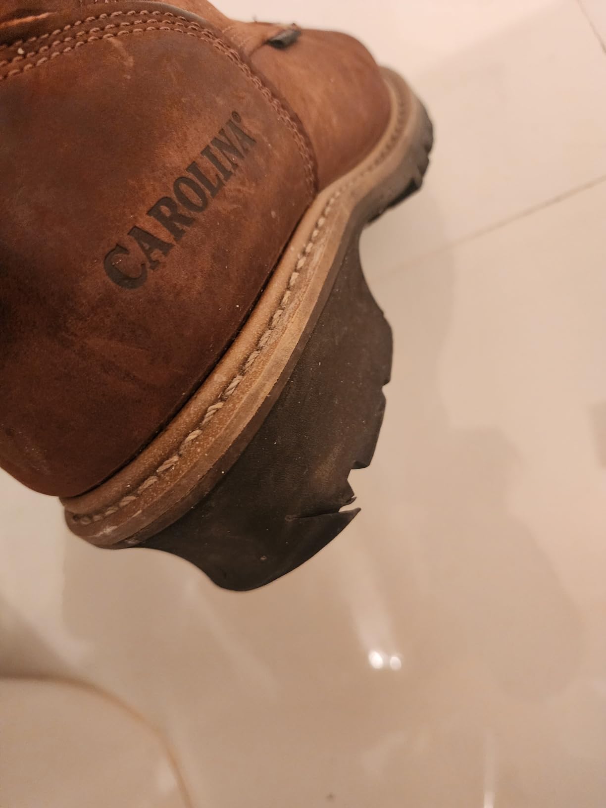 Carolina 8
