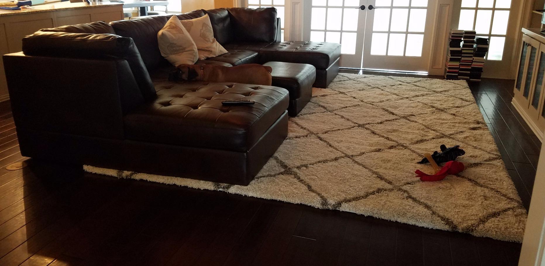 SAFAVIEH Hudson Shag Rug 8x10, Plush Trellis Large Ivory & Grey SGH281A customer photo 2
