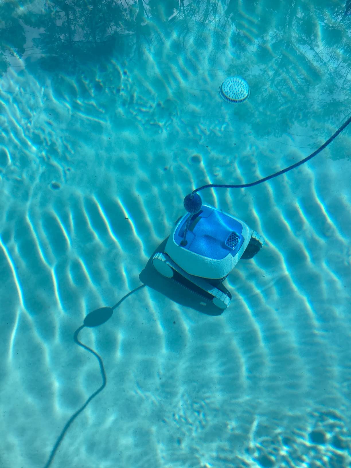 Dolphin Automatic Robotic Pool Vacuum Cleaner, Wall Climbing Scrubber Brush, Smart Navigation, Ideal for In-Ground Pools up to 40FT in Length - Nautilus CC Plus customer photo 1