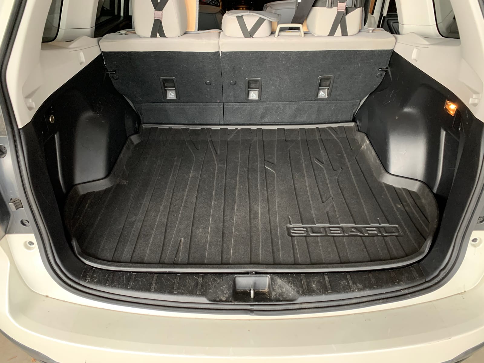 JBL BassPro SL 8-inch Powered Under-Seat Subwoofer customer photo 1