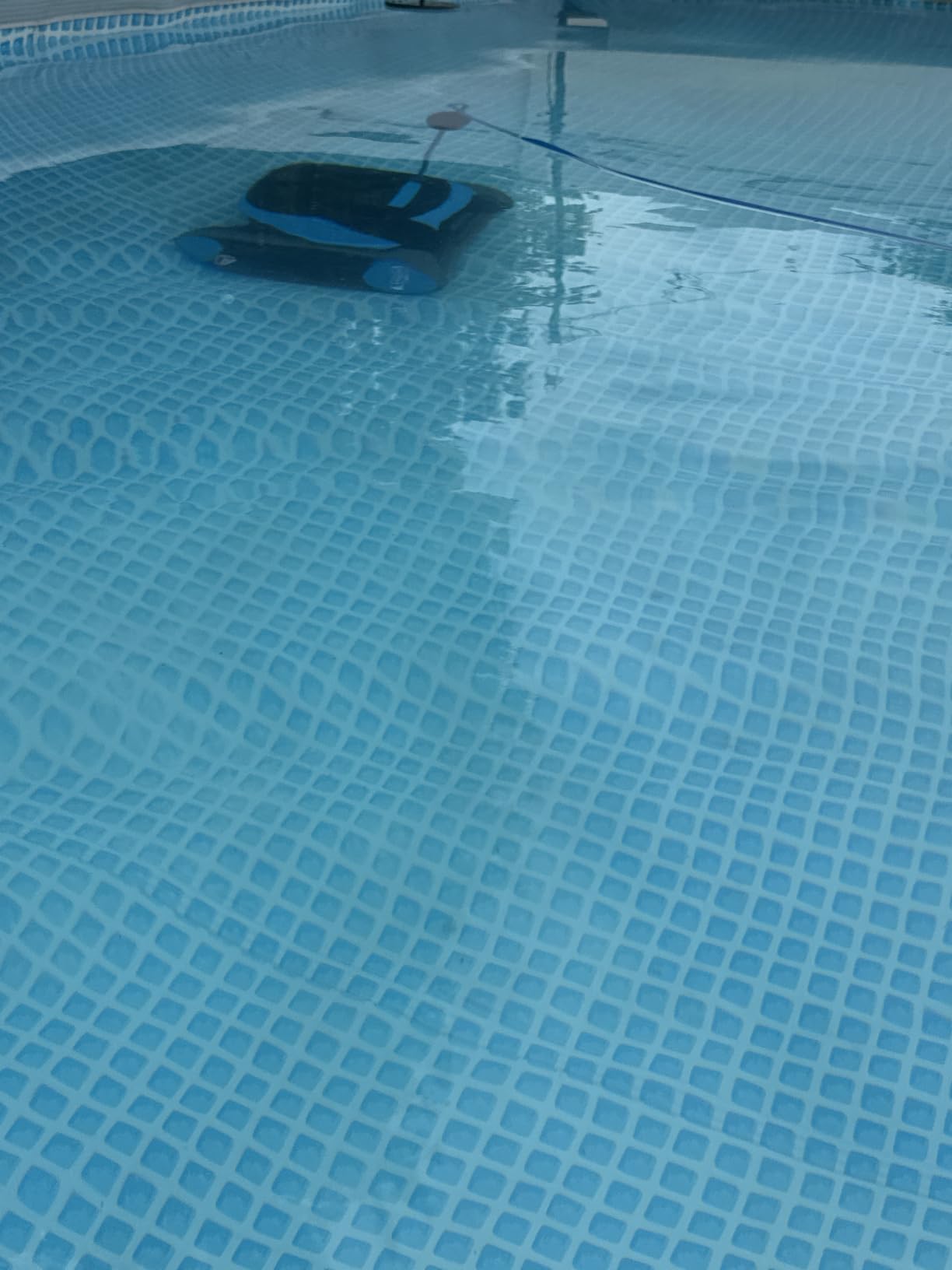 Dolphin (2026 Model) Nautilus AG Automatic Robotic Pool Vacuum Cleaner, Active Scrubber Brush, Top Load Filters Access, Ideal for Above-Ground Pools up to 33 FT in Length customer photo 2