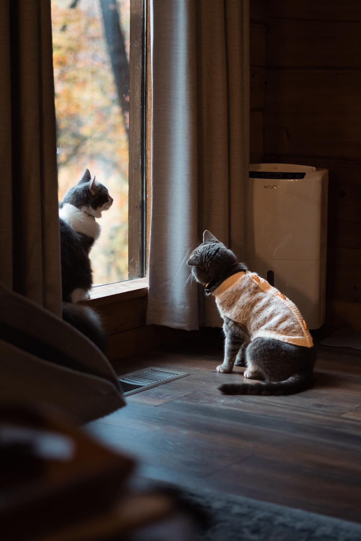 Sony FE 50mm F1.8 Standard Lens (SEL50F18F) customer photo 1