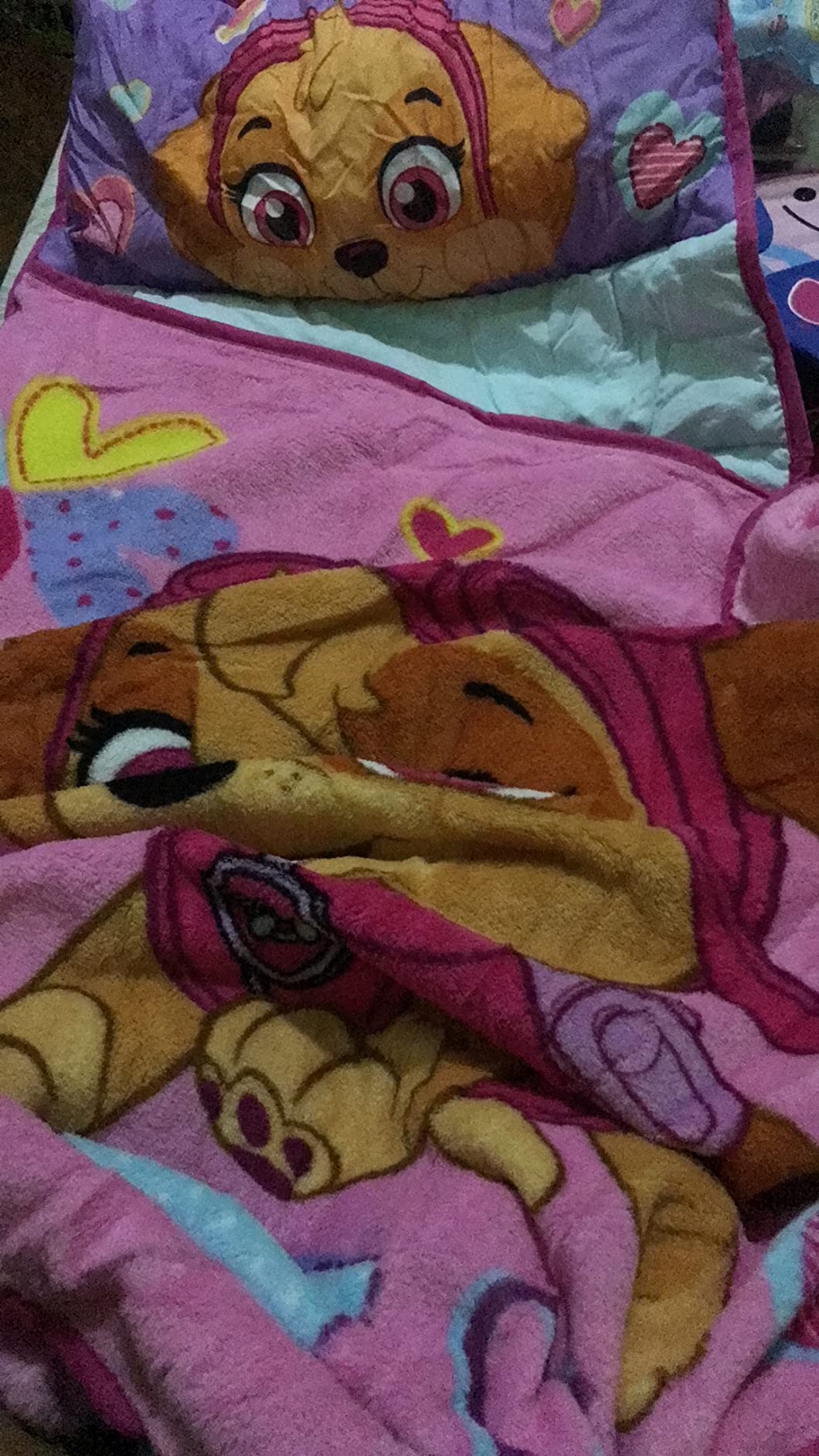 Paw Patrol Team Skye Toddler Nap-Mat Set - Includes Pillow and Plush Blanket - Great for Girls Napping During Daycare or Preschool - Fits Toddlers, Pink customer photo 2