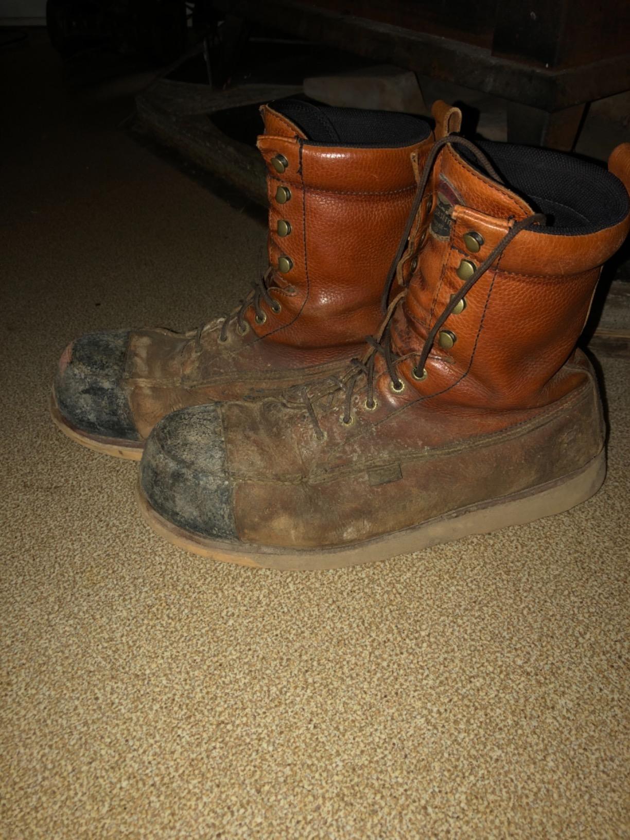 Irish Setter Wingshooter ST 6