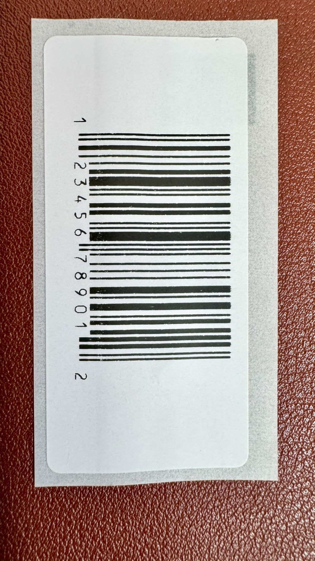 Brother QL-800 High-Speed Professional Label Printer, Plug & Label Feature, 300dpi customer photo 2