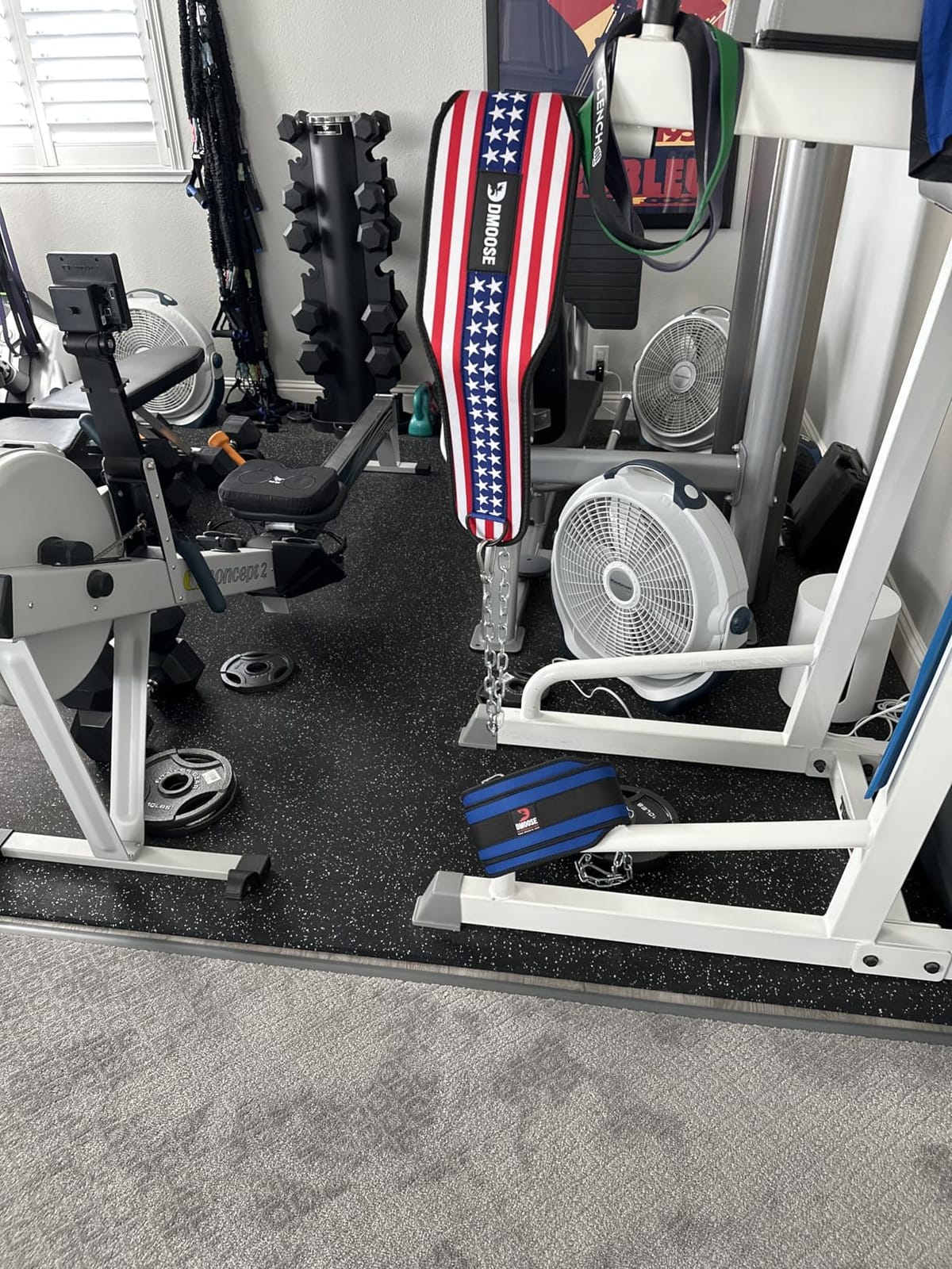 DMoose Fitness Dip Belt for Weight Lifting, Pullup, Squats & Dips - 36