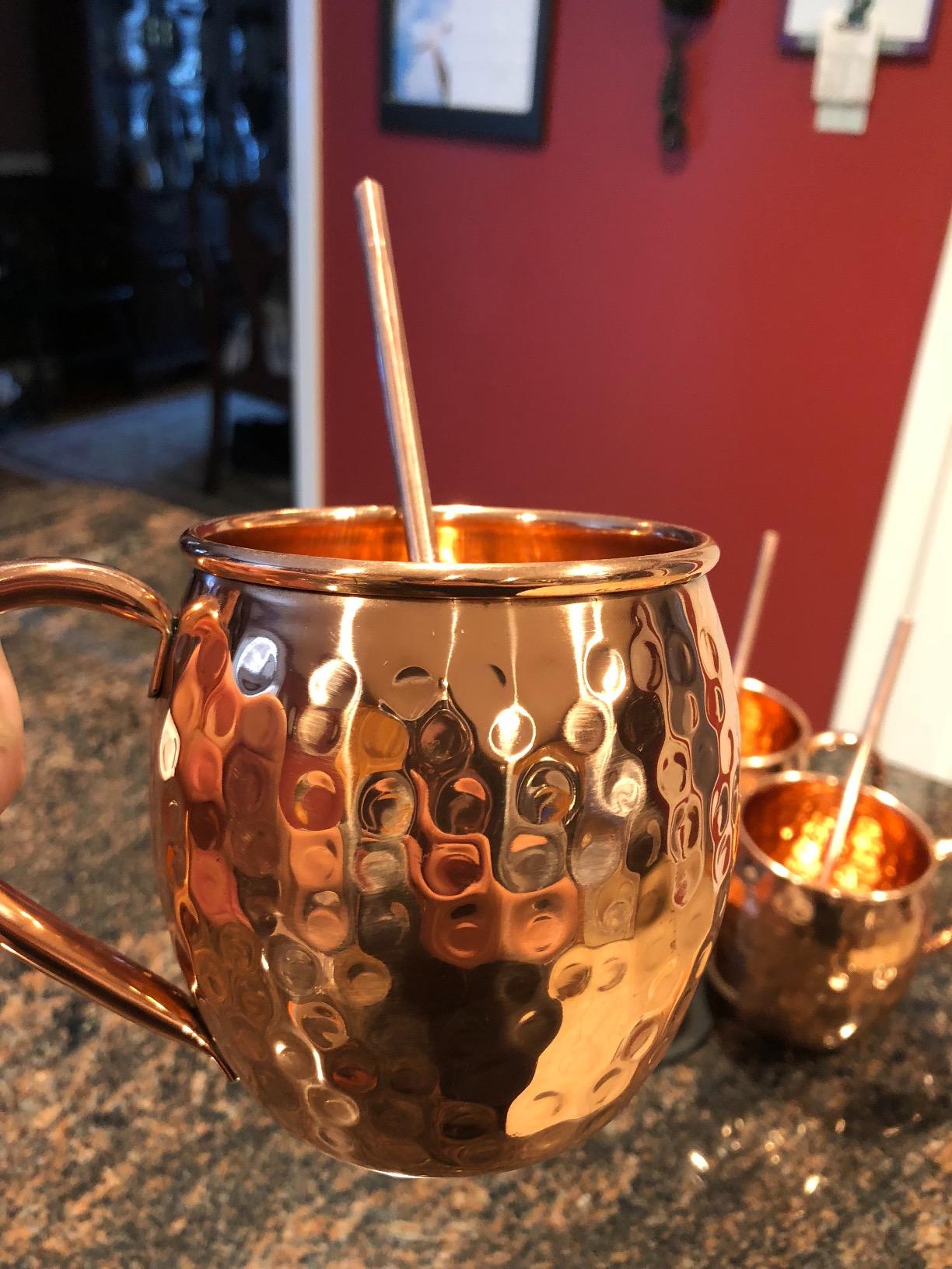 Advanced Mixology Pure Copper Moscow Mule Mugs Set of 4, 19 oz Hand-Hammered Copper Cocktail Mugs with Reusable Straws, Jigger & Coasters, Ideal for Home Bars, Restaurants & Events, 1-Year Warranty customer photo 1