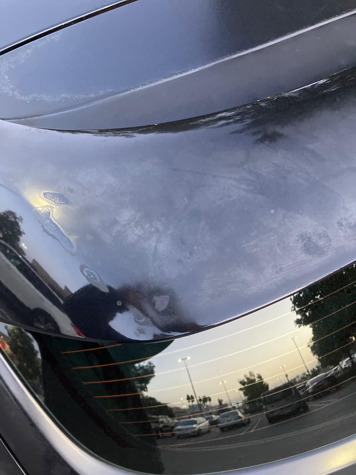 Turtle Wax 52708 Color Magic Car Paintwork Polish Restores Colour & Shine Black 500ml customer photo 2