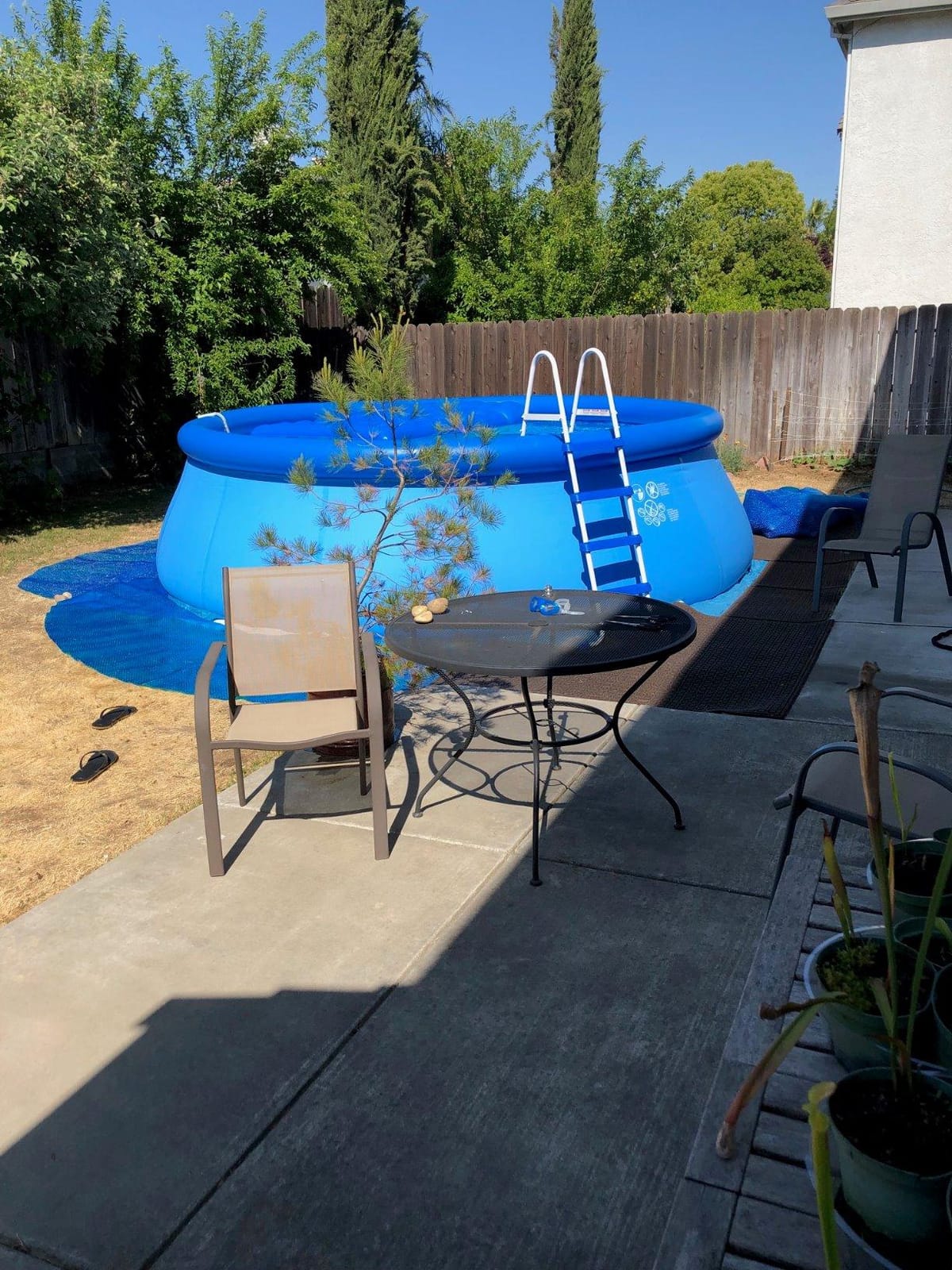 Easy Set 15 ft x 48in Inflatable Ring Above Ground Pool Set w/Pump | 26167EH - 1000 GPH Cartridge Filter Pump, Ladder, Pool Cover & Ground Cloth Included customer photo 1