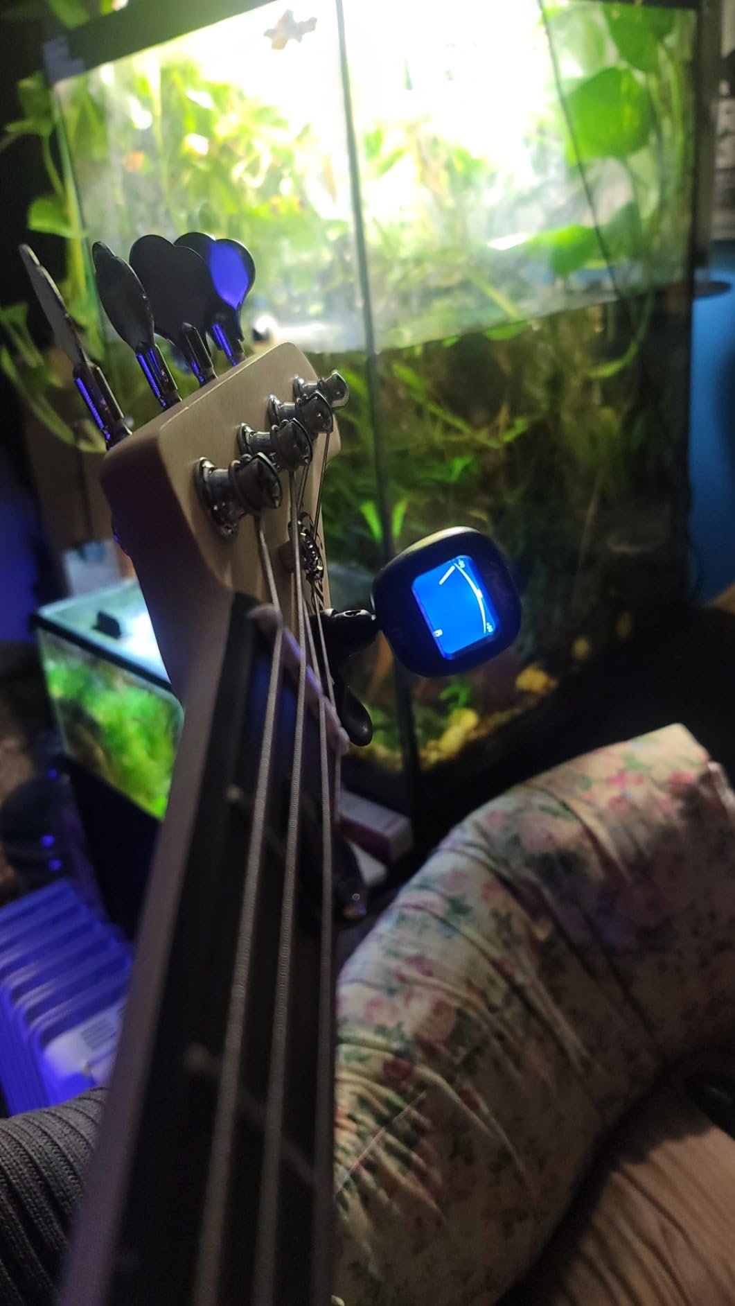 Fender FT-1 Professional Guitar Tuner Clip On, Full-Range Chromatic Guitar Tuner with Dual-Rotating Hinges, A4 Calibration customer photo 1