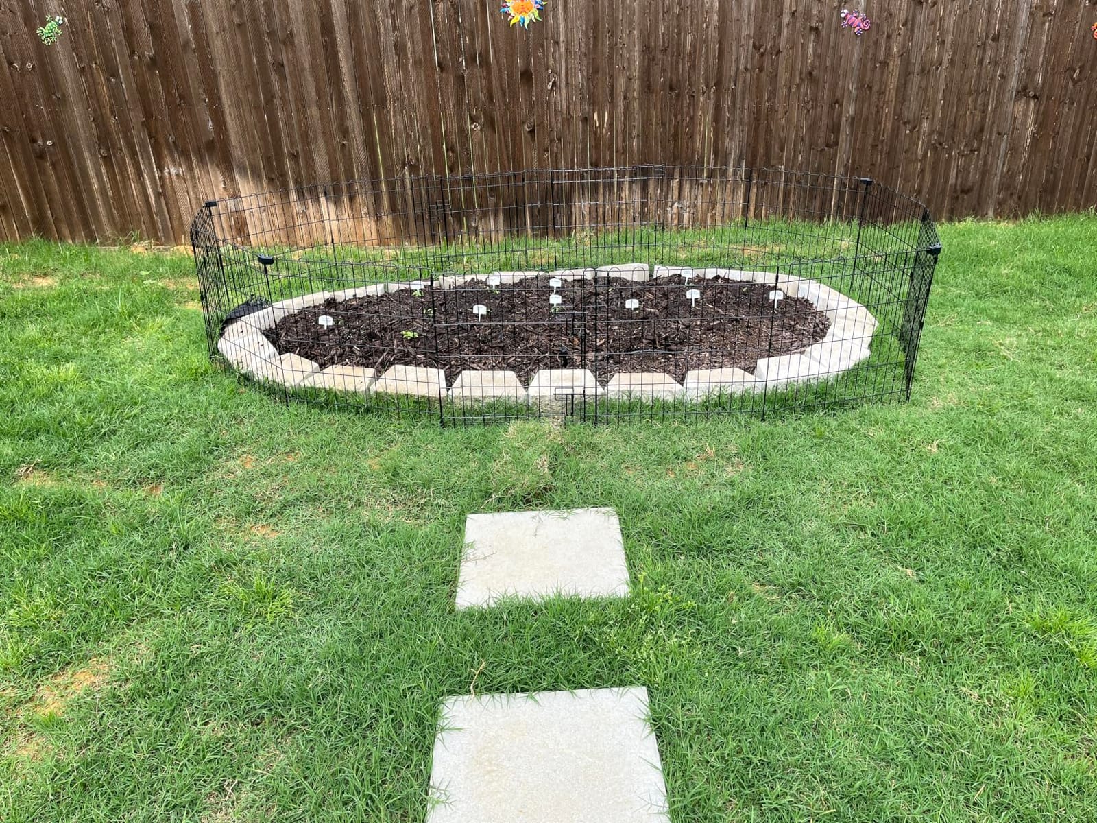 Amazon Basics Foldable Octagonal Metal Exercise Dog Playpen, Indoor/Outdoor, Single Door, 8 Panels, 24 x 42 Inches, Portable Pet Fence, Large, Black customer photo 2