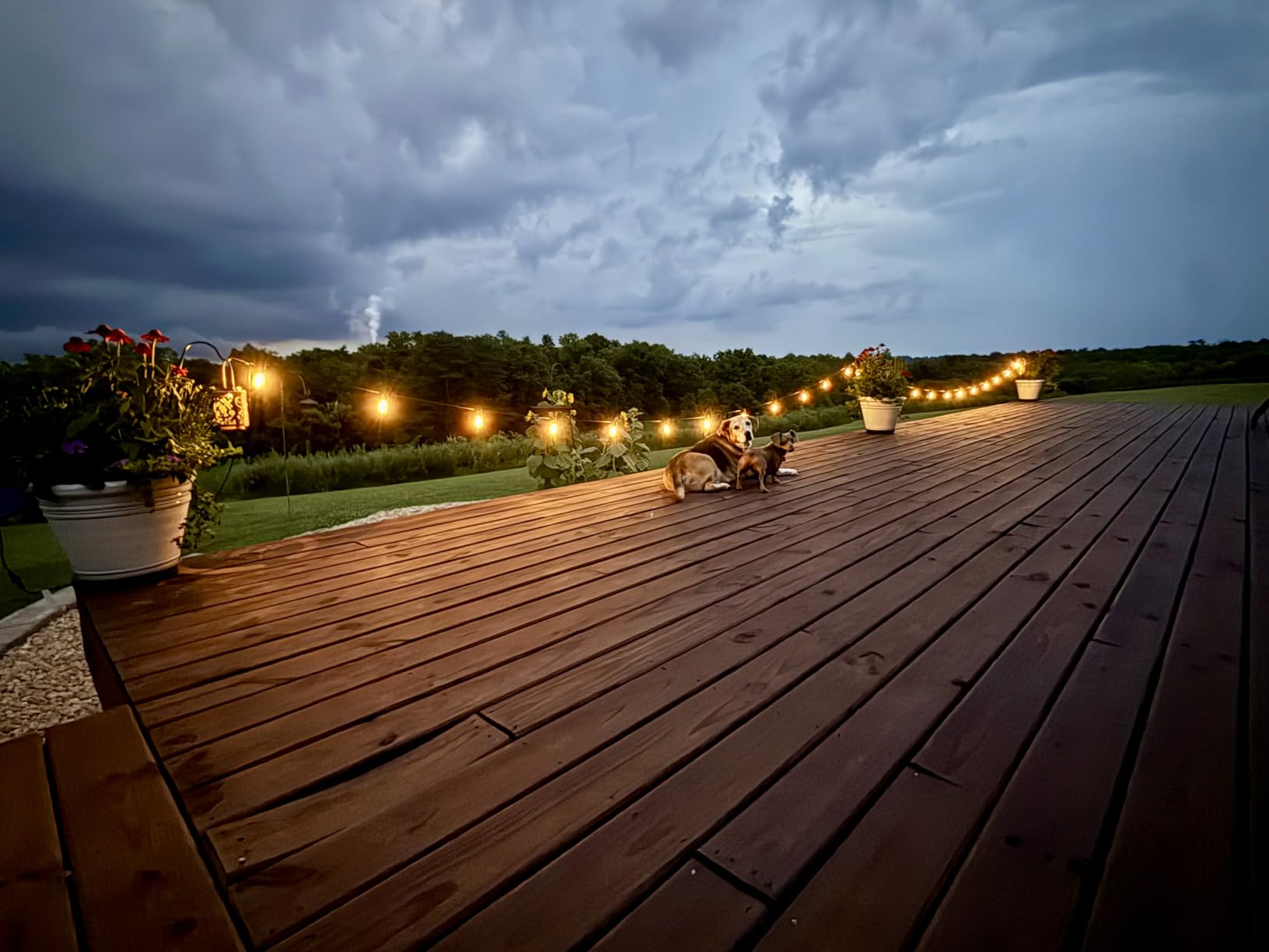 Brightech Ambience Pro Solar Powered Outdoor String Lights -27 ft Commercial Grade Waterproof Edison Patio Lights, Shatterproof LED String Lights for Outside, Porch - 12 Bulbs, 1W Soft White customer photo 1
