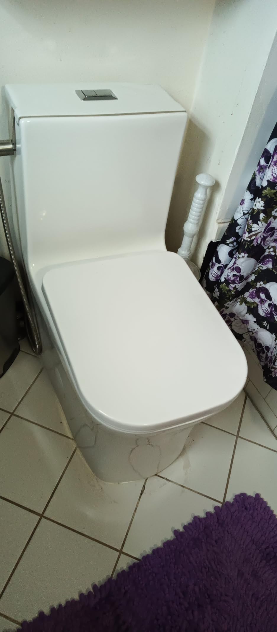 Swiss Madison Well Made Forever SM-1T106 Concorde One Piece Toilet, Glossy White customer photo 2