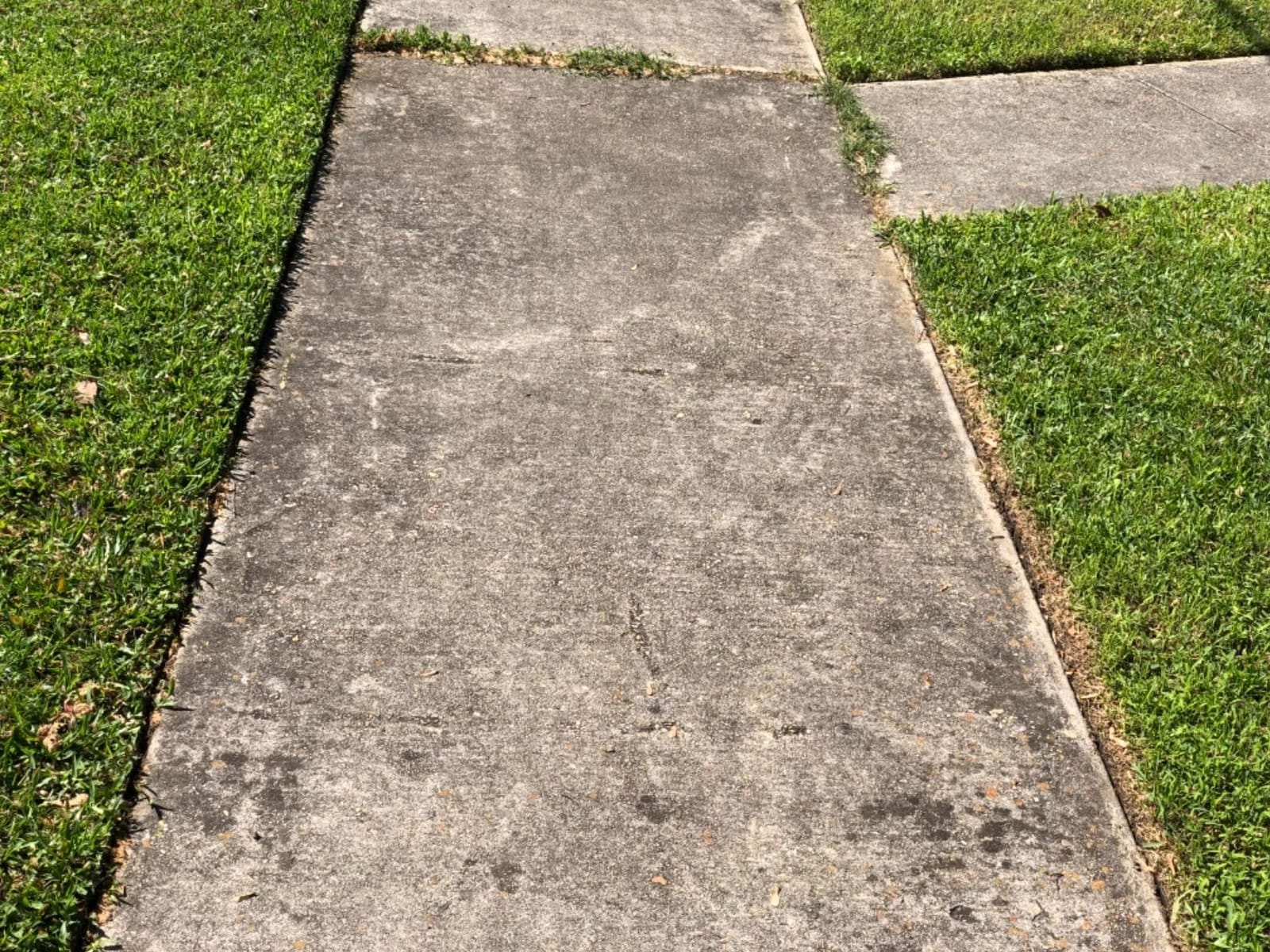 BLACK+DECKER Lawn Edger Trencher 2 in 1, 12 Amp 7.5 in. Electric Edger Lawn Tool for Landscaping and Trench Digger, 3 Height Settings, Corded (LE760FF) customer photo 1