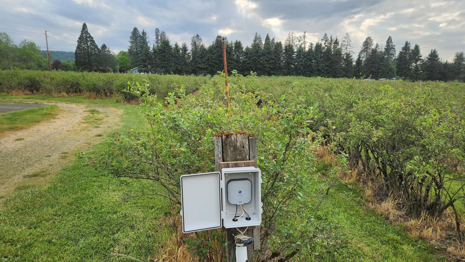 Orbit B-hyve Indoor Smart Sprinkler Controller - 8-Zone WiFi Irrigation Controller customer photo 1
