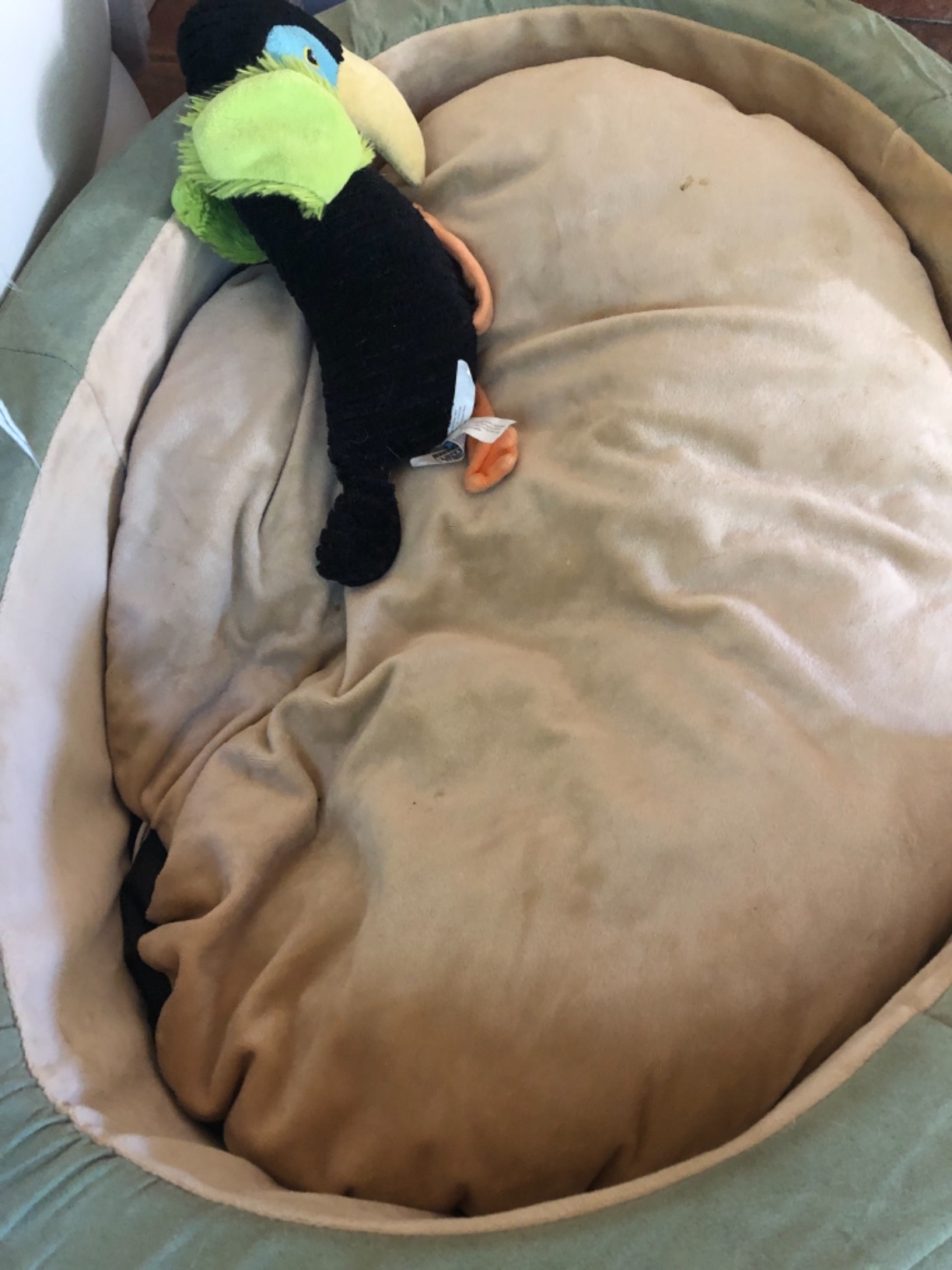 K&H Pet Products Heated Dog Bed Indoor, Thermo-Snuggly Sleeper with Removable Waterproof Heated Pad, Calming Pillow Pet Bed, Machine Washable, Safety Listed - Medium 26 X 20in Sage/Tan customer photo 1
