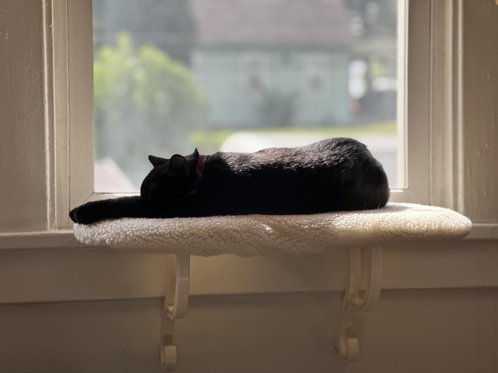 K&H Cat Window Perch, Unheated Kitty Sill, 24x14in, Fleece | Orthopedic Cat Window Hammock Bed Holds 40LBS, Washable Cover, Kitty Windowsill Bed Seat for Indoors, Cream Fleece customer photo 1
