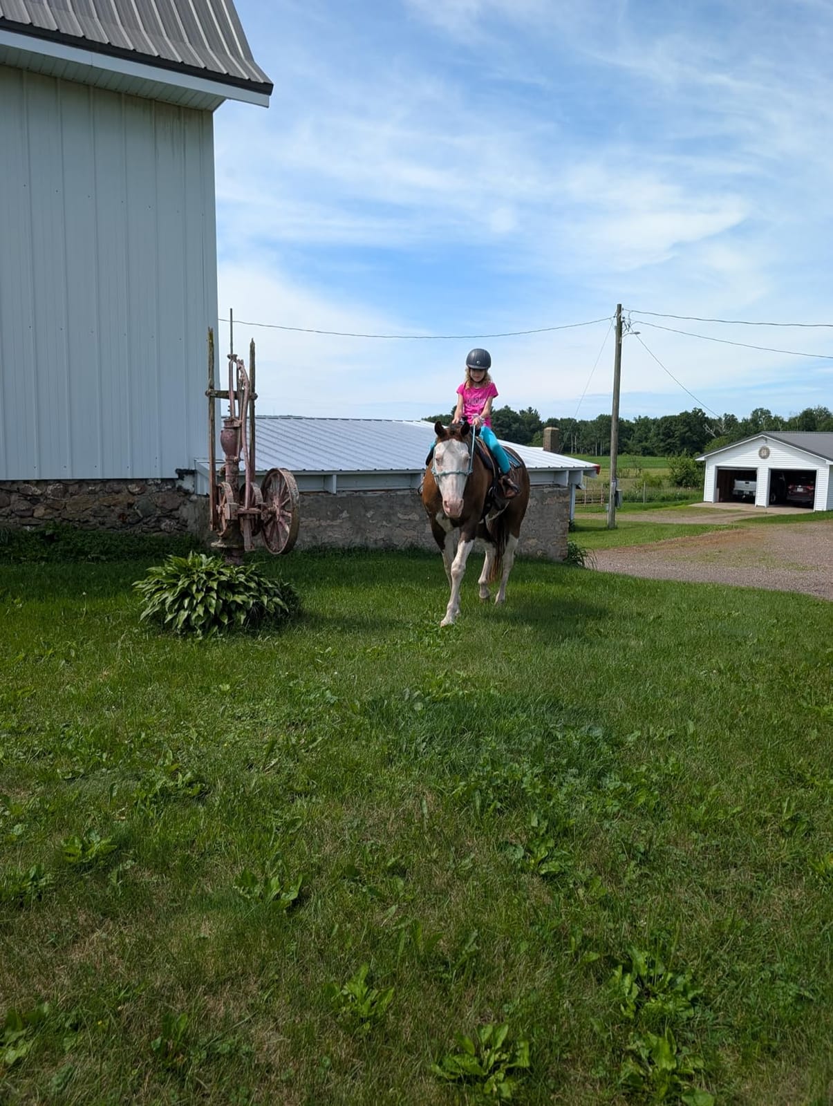 TuffRider Starter Basic Horse Riding Helmet | Comfortable Protective Equestrian Head Gear - SEI Certified customer photo 2