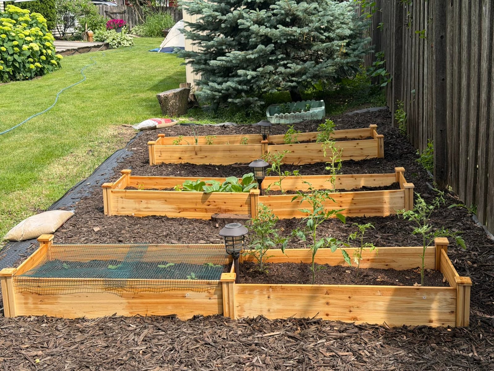 Yaheetech 8×2ft Wooden Horticulture Raised Garden Bed Divisible Elevated Planting Planter Box for Flowers/Vegetables/Herbs in Backyard/Patio Outdoor, Natural Wood, 95 x 25 x 11in customer photo 2