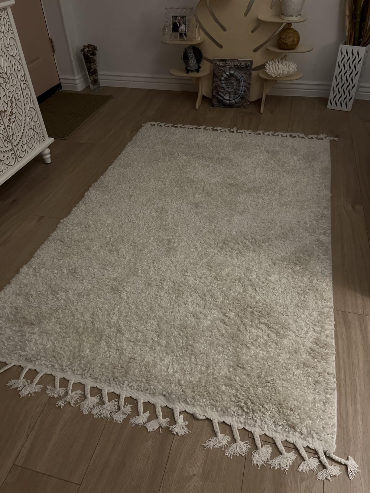 JONATHAN Y Mercer Shag Plush Tassel Cream Indoor Area Rug, 8x10, Contemporary, Modern, Easy-Cleaning for Living Room, Bedroom, Kitchen, Pet Friendly, Non-Shedding (MCR100D-8) customer photo 2