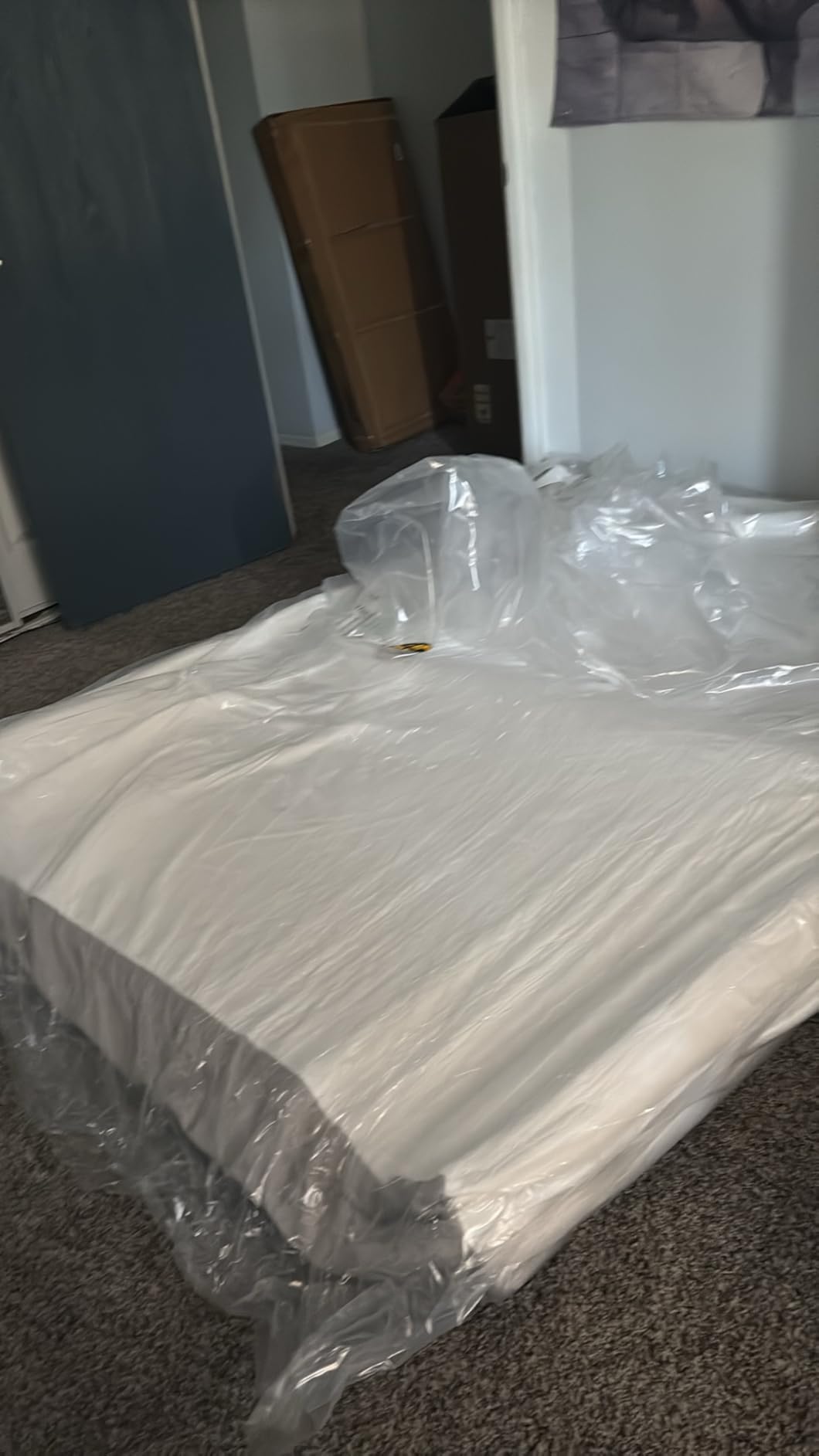 Amazon Basics Memory Foam Mattress, Soft Plush Feel, Breathable, 6 Inch, Twin, White/Grey customer photo 2