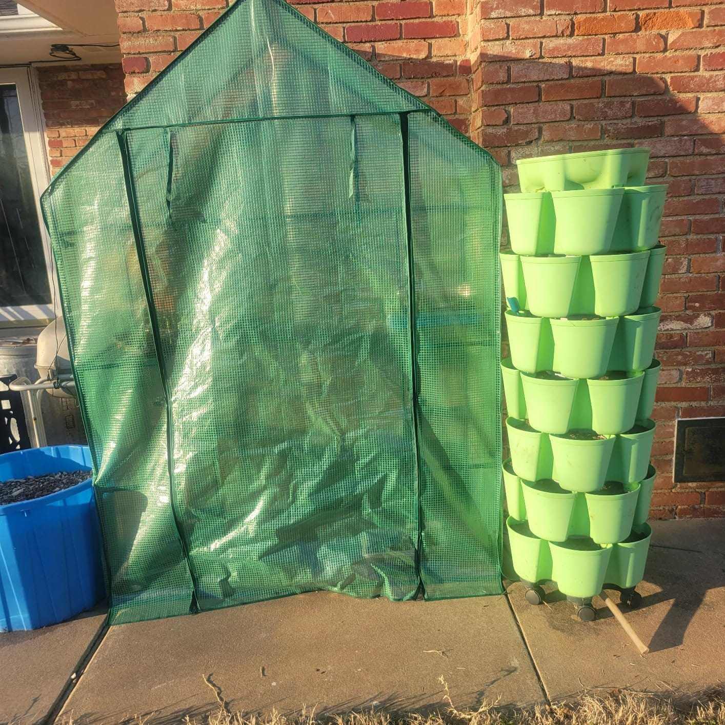 56x30x76 Mini Walk-in Greenhouse, Portable Plant House with 3-Tier Shelves | PE Cover, Roll-Up Door, 3-Tier Shelves, Steel Frame, Stakes and Ropes for Seedlings, Flowers and Seasonal Plant Protection customer photo 1
