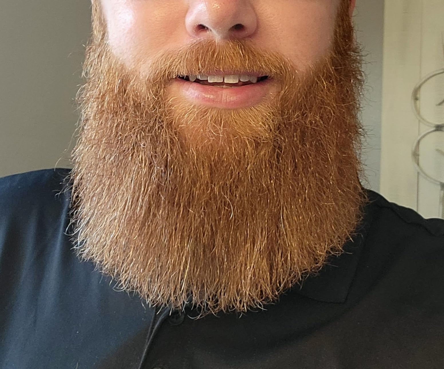 Wild Willies Beard Straightener for Men - 3 Temperature Settings, Tourmaline Ceramic Heated Beard Brush & Hot Comb - Portable, Ionic Technology, Coarse & Curly Hair, 400F - Grooming Tool customer photo 1