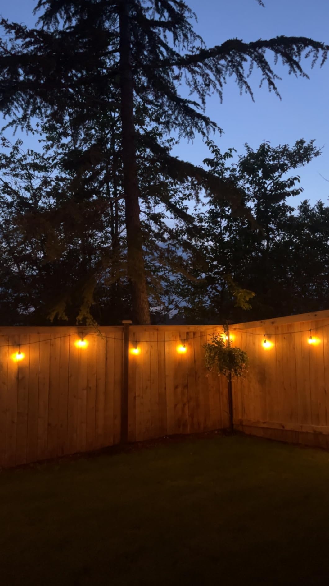 Svater Outdoor String Lights 105 FT Outside Waterproof Commercial Grade ETL | Patio Lighting with Shatterproof E26 S14 LED Dimmable Edison Bulbs, Hanging Strand for Bistro Cafe Backyard Warm White customer photo 1