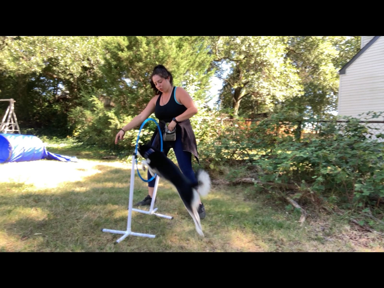 Better Sporting Dogs Agility Course Backyard Set - 7pc | Indoor and Outdoor, 3 Jumps, 2 Tunnels with Sandbags, Weave Poles, Dog Agility Training Equipment customer photo 1