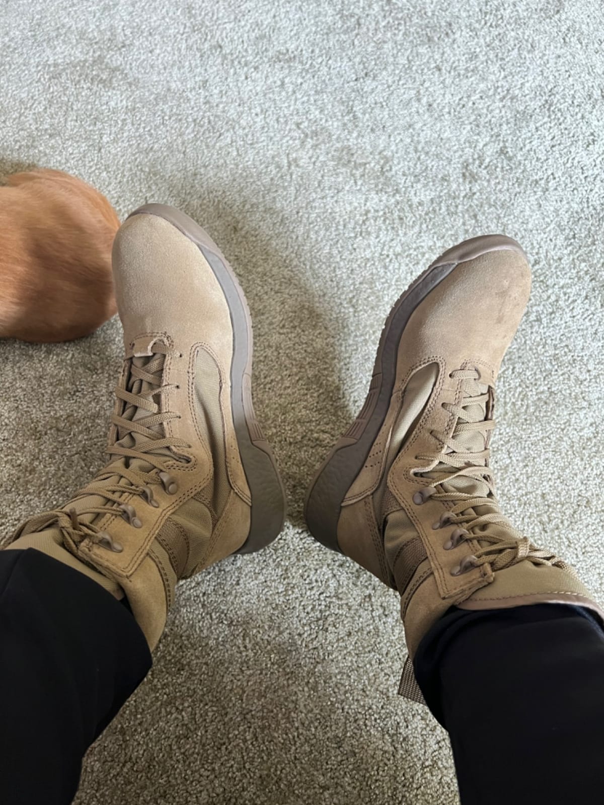 Belleville TR501 AMRAP Military Boots for Men, AR 670-1 Compliant Zero Drop | Army Boots for Men, E-TPU Energy Return, Dual Ventilation, High-Grip Traction, Men's Military & Tactical Boots customer photo 2