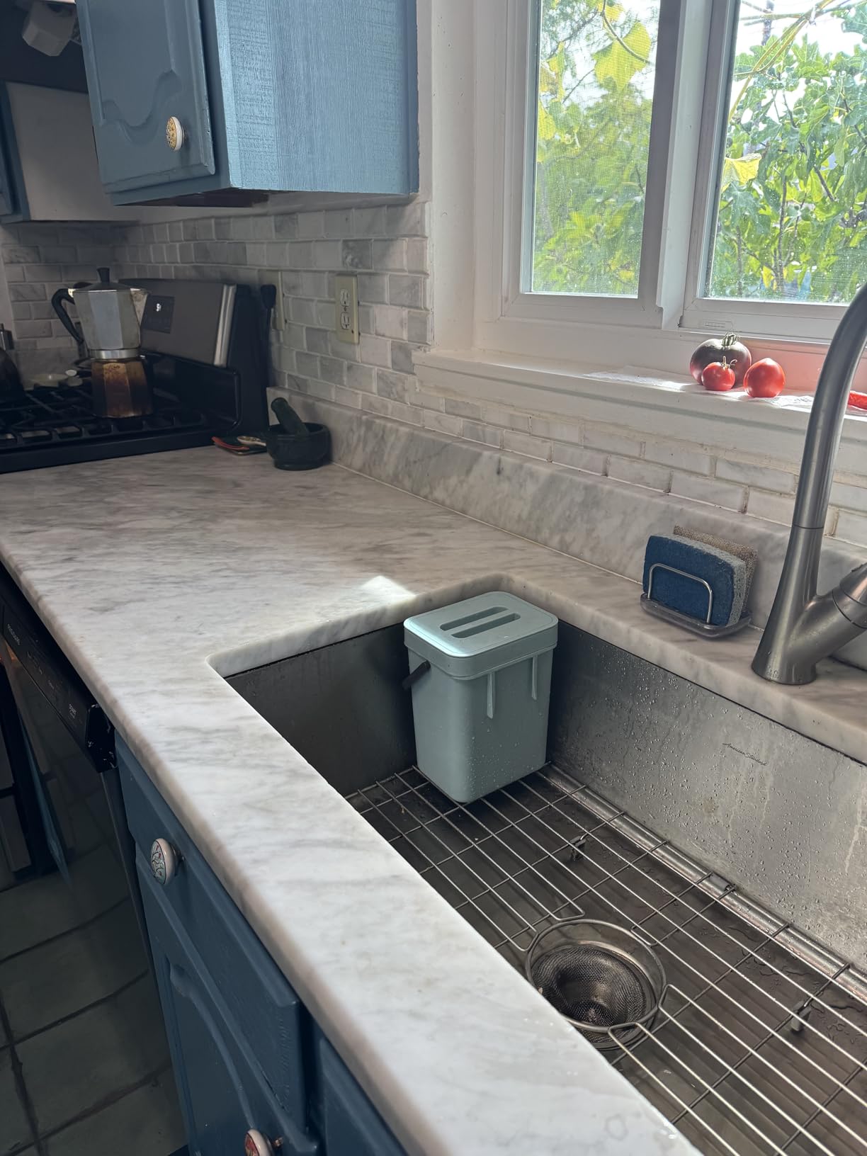 LALASTAR Compost Bin Kitchen, Small Compost Bin for Kitchen, Countertop Compost Bucket with Lid, Odorless Hanging Trash Can for RV/Office/Dog, Mini Food Waste Bin for Countertop, 3L/0.8 Gal, Blue customer photo 1
