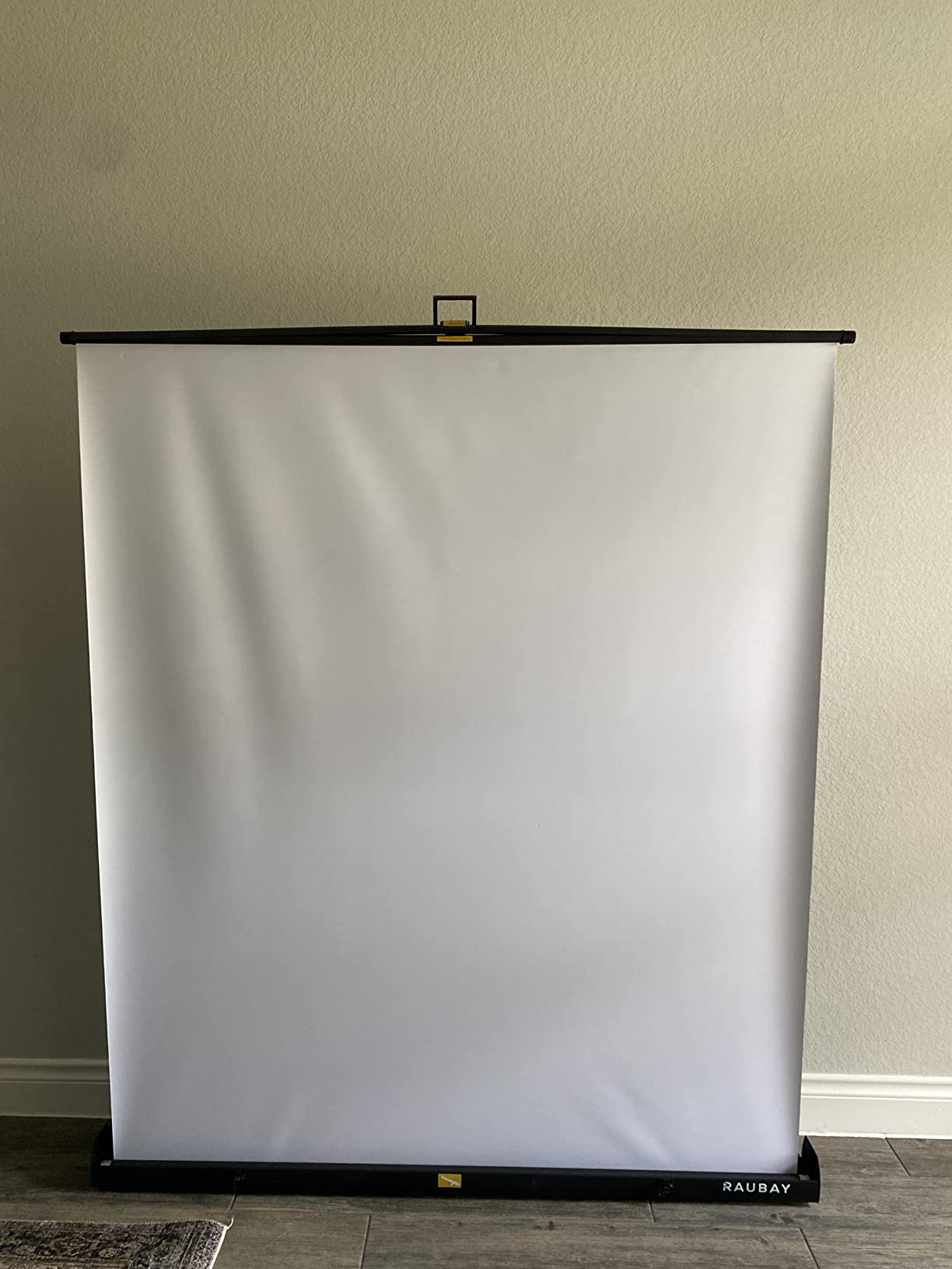 RAUBAY 78.7 x 82.7in Large Collapsible Green Screen Backdrop | Portable Retractable Chroma Key Panel Photo Background with Stand for Streaming customer photo 2