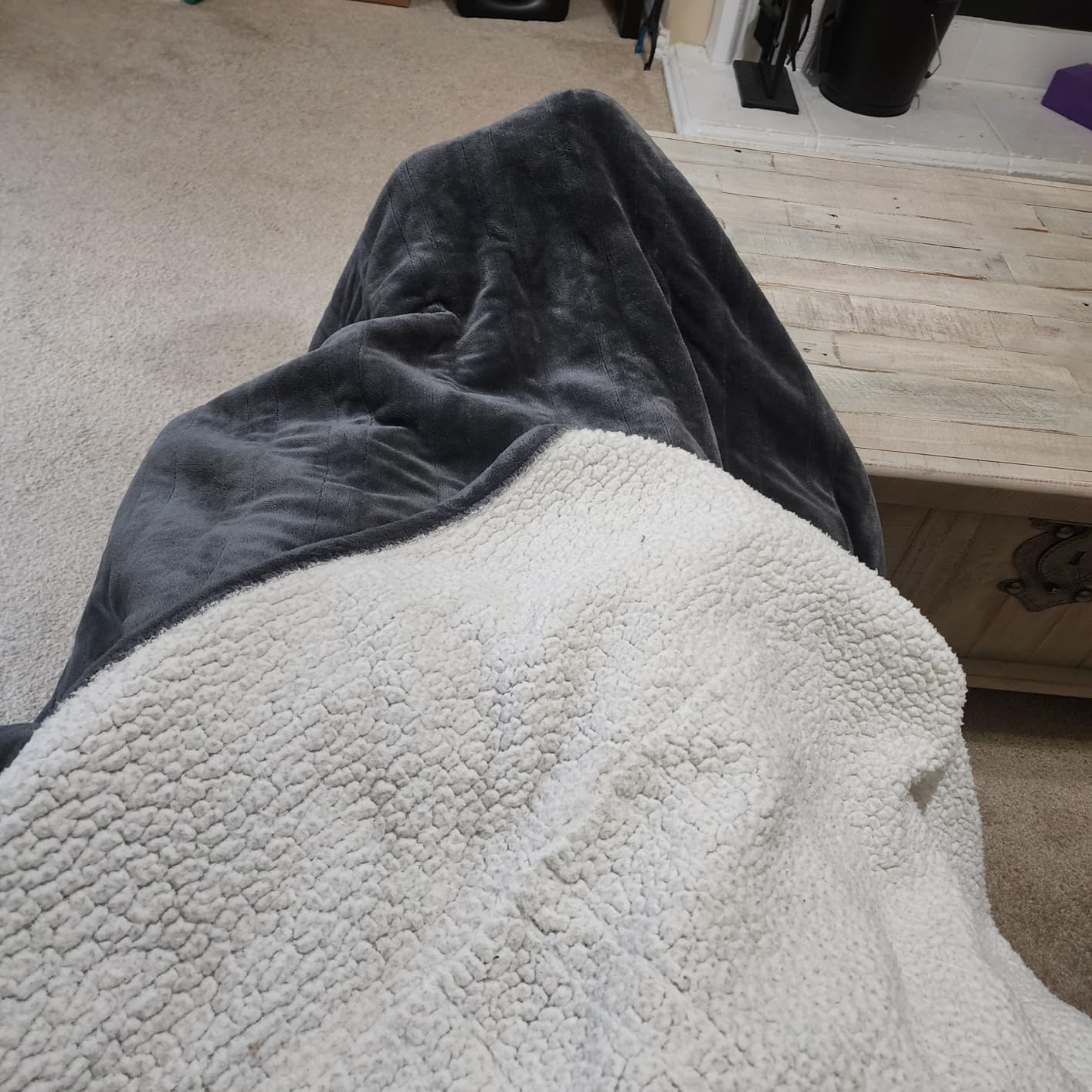Westinghouse Heated Throw Blanket, Machine Washable, 50x60 Inch, Ivory customer photo 1
