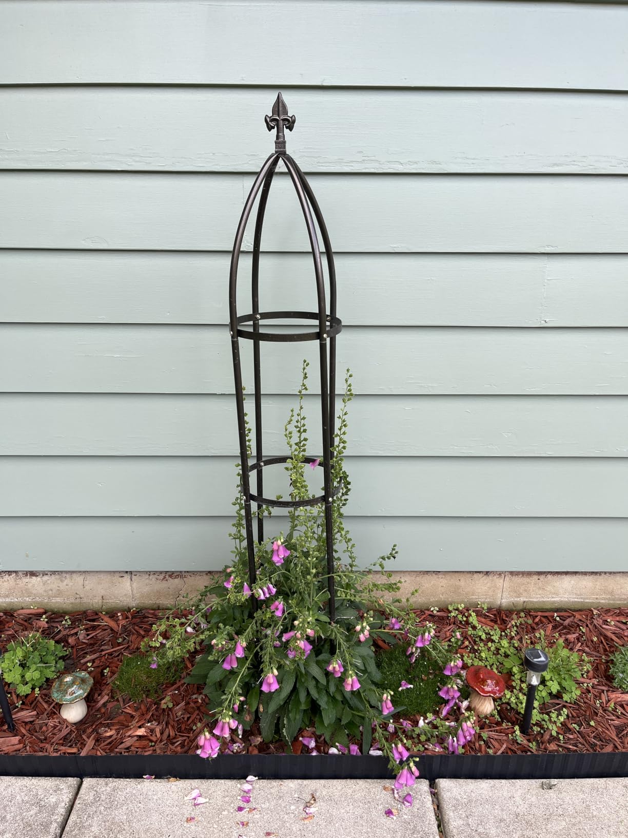 100% Metal Garden Obelisk Trellis Heavy Duty 6.3 ft Tall for Climbing Vines | Upgraded 16mm Thick Steel Tubes Rustproof Bronze Tower, 4.9lb Tall Plant Support Stands for Flowers, Roses, Clematis & Tomato customer photo 1