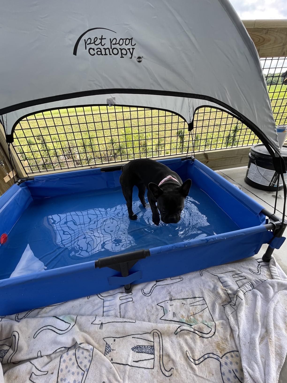 K&H Dog Pool, Portable Pet Bath, X-Large 50x32in, Chill Blue | Dog Pools for Large Dogs & Puppies, Splash Pad, Foldable Pool Design, Heavy Duty Liner with Metal Frame, Easy Drain Plug customer photo 1