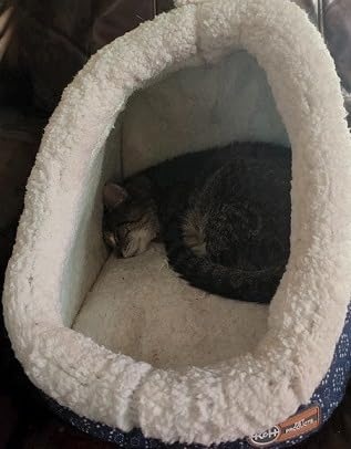 K&H Heated Cat Bed, Thermo-Pet Cave Indoor, Safety Listed, 4W, Gray | Removable Waterproof Cat Heating Pad, Heated Pet Bed for Dogs & Cats, Covered Cave Pet Tent, Collapsible, Machine Washable customer photo 1