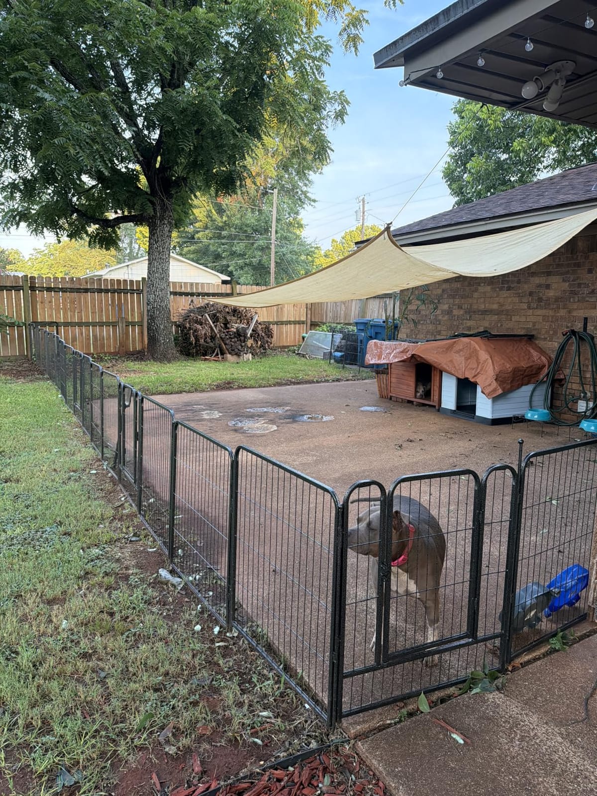 Dog Playpen,32/40/45 Inch Height in Heavy Duty, Folding Indoor Outdoor Anti-Rust Dog Exercise Fence, Portable Pet Playpen with Door for Large Medium Small Dogs and Pet (16 Panels, 32 Inch) Silver customer photo 1