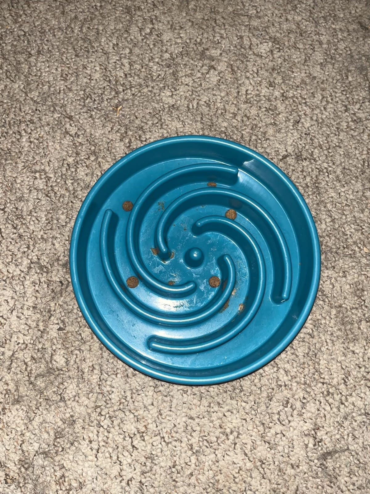 JASGOOD Slow Feeder Dogs Bowl for Large Medium Dogs, Anti-Gulping Pet Slower Food Feeding Bowls Stop Bloat, Preventing Choking customer photo 2