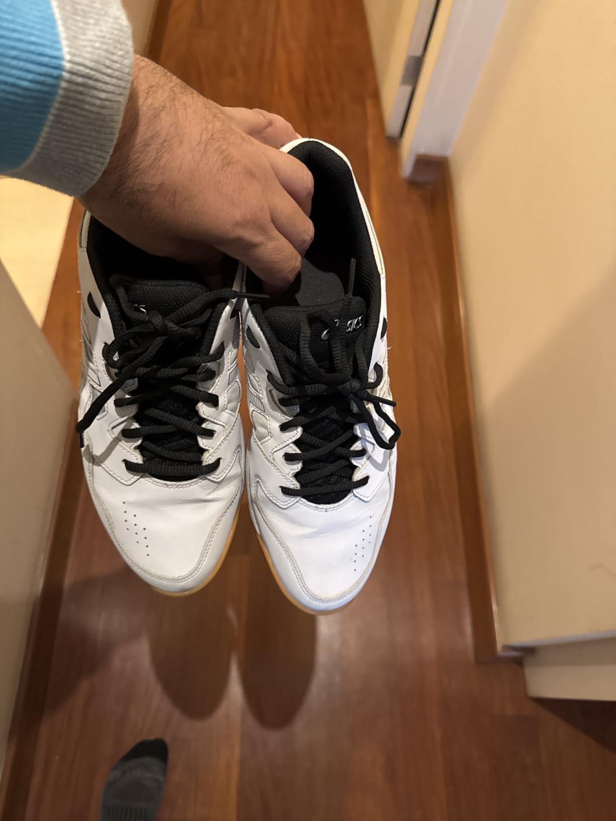ASICS Men's Gel-RENMA Pickleball Shoes customer photo 1