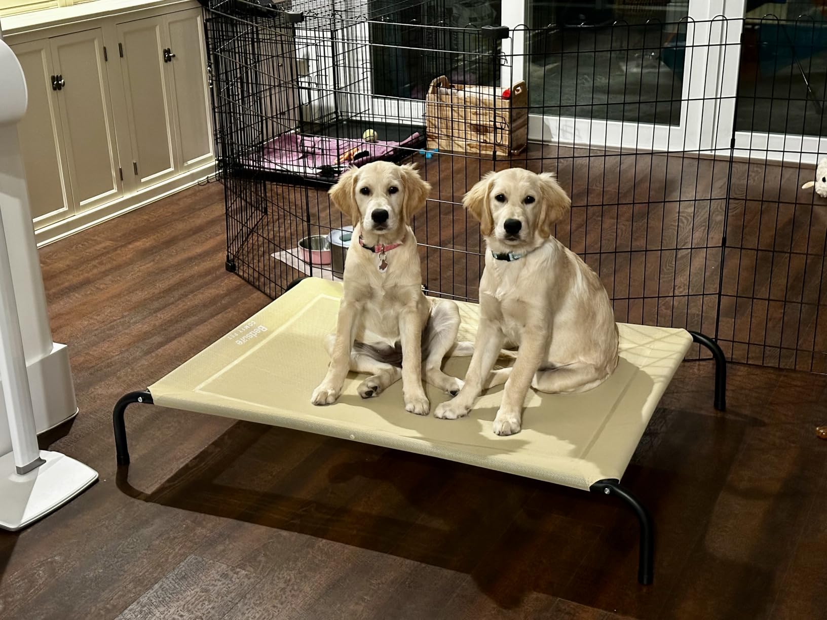 Bedsure Outdoor Elevated Cooling XL Dog Bed for Extra Large Dog, 54in Grey | Portable Raised Camping Pet Cot Hammock, Breathable Teslin Mesh, Weather Resistant, For XL Dogs Up to 120 lbs, Easy to Assemble customer photo 2