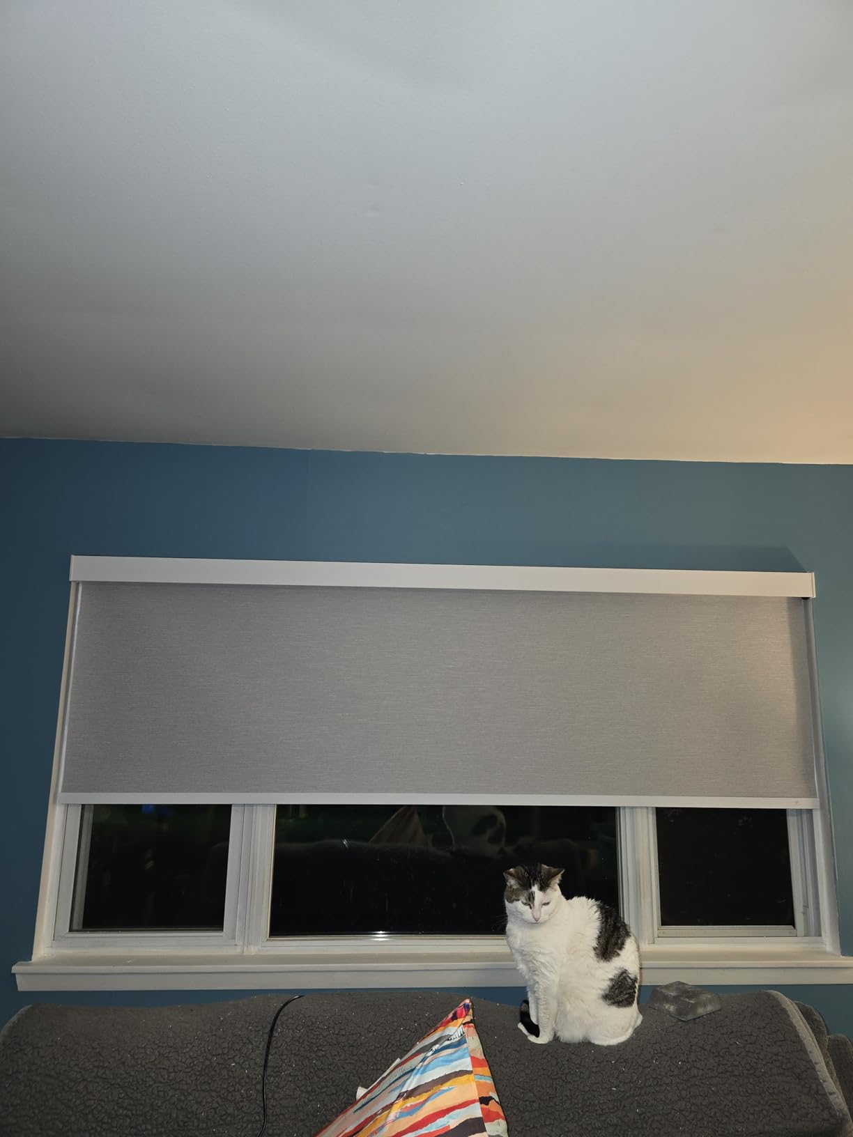 SmartWings Motorized Smart Roller Shades, 100% Blackout Essential Grey | Customized Automatic Shades for Indoor Window, Cordless Electric Blinds Compatible with Alexa/Homekit/Google customer photo 1