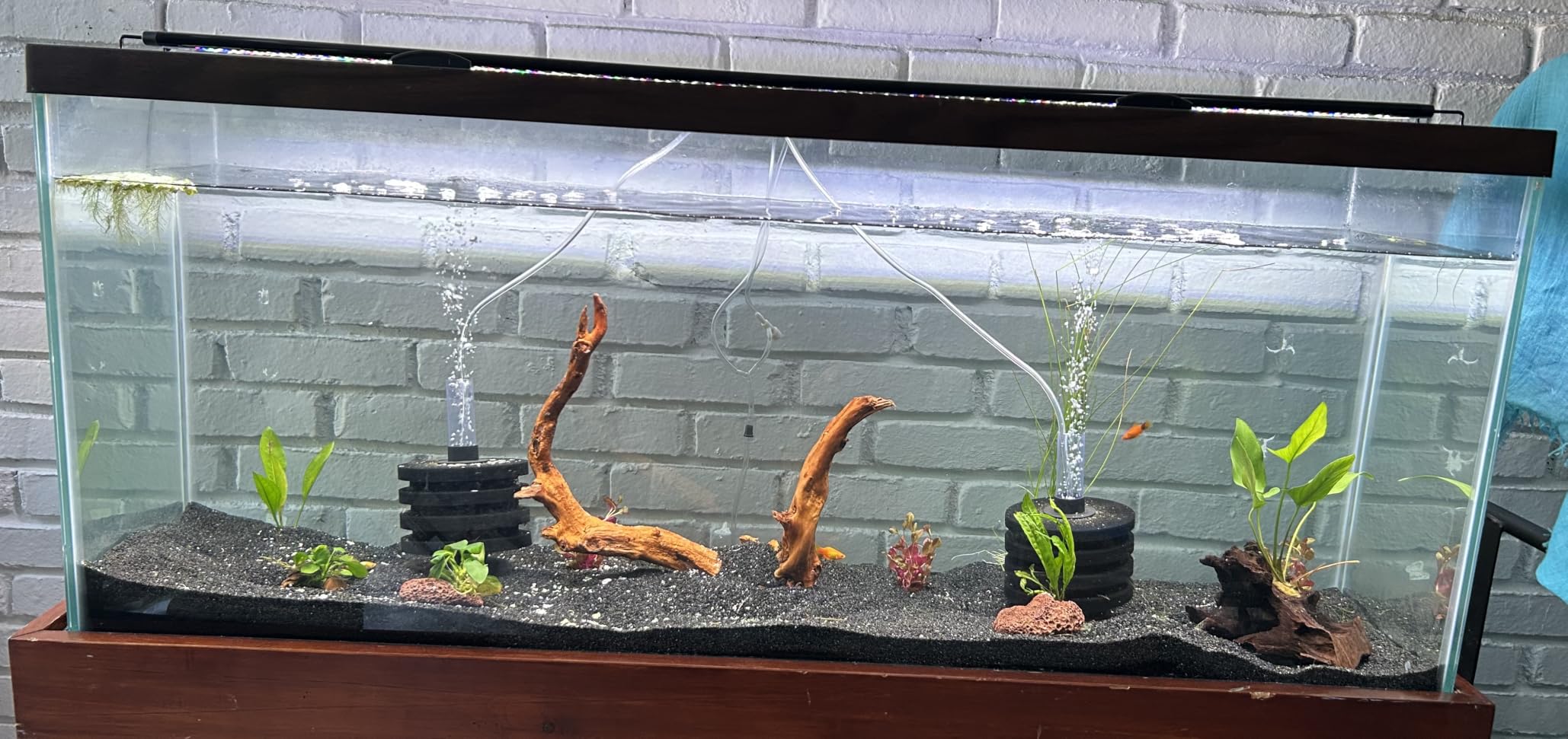 SEAOURA Led Aquarium Light for Plants Growth, Fish Tank Light 12-18 Inch | Full Spectrum Aquarium Lights for Fish Tank with Timer, 10 Dimmer, Extend Bracket, Memory, Auto On Off, 3 Lighting Modes customer photo 1