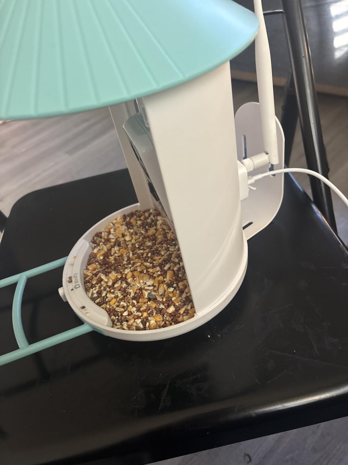 NETVUE by Birdfy Smart Bird Feeder with 2K AI Camera, Solar Powered, Auto Record & Notification, Accurate AI Bird ID, Free Cloud Storage, Share with 20+ Members, Work with Alexa customer photo 2